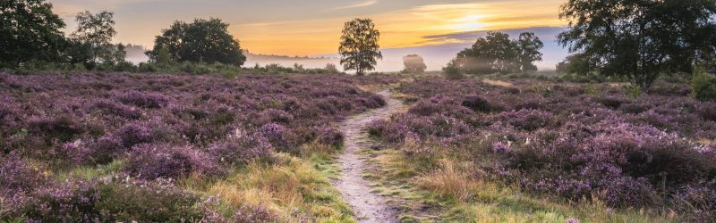 advocaat erfrecht Hilversum