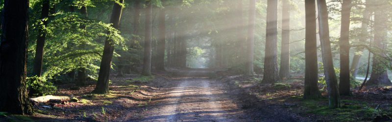 advocaat-erfrecht-huizen advocaat erfrecht Huizen